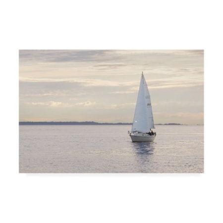 Alan Majchrowicz 'Sailboat In Semiahmoo Bay' Canvas Art,16x24